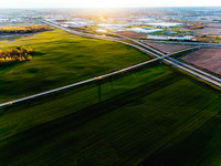 Economic Development